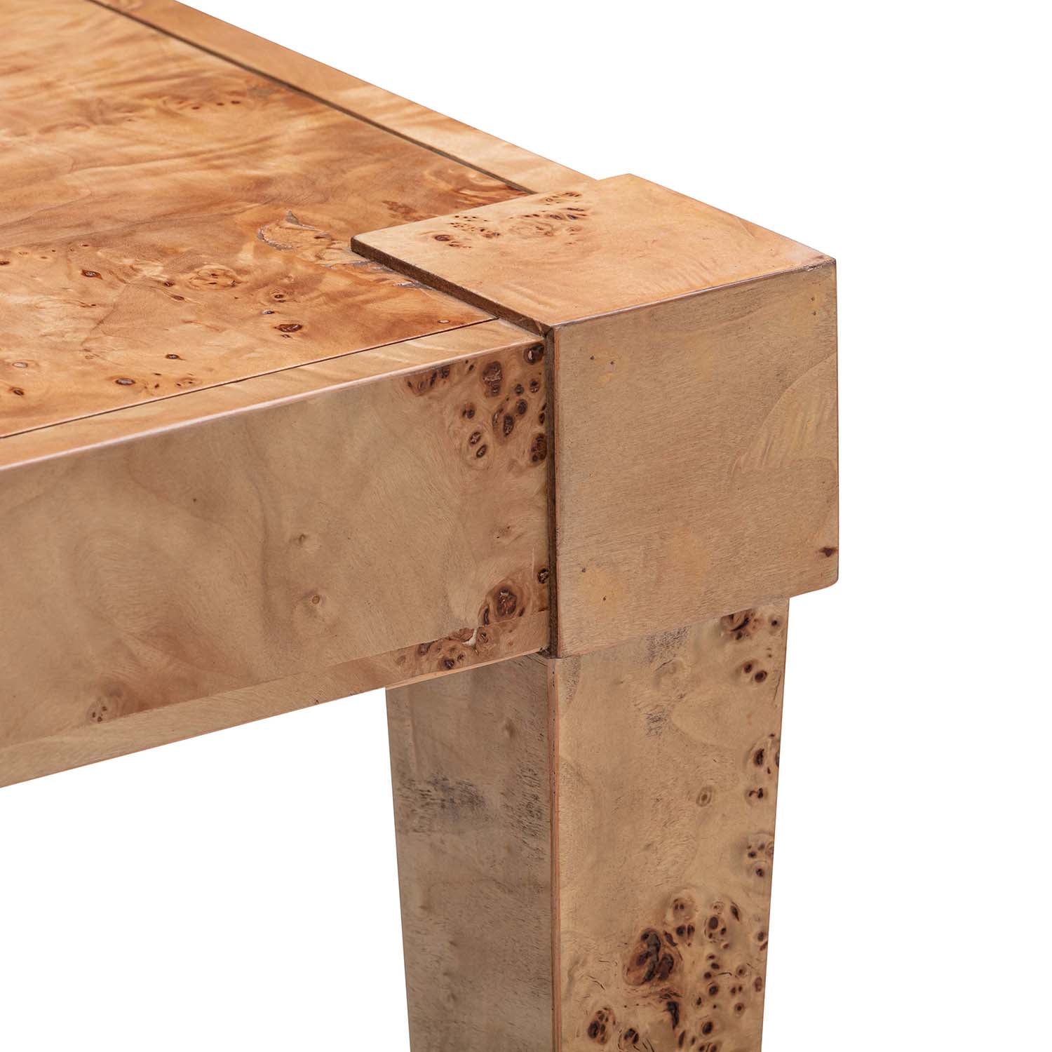 TOV Furniture Brandyss Burl End Table