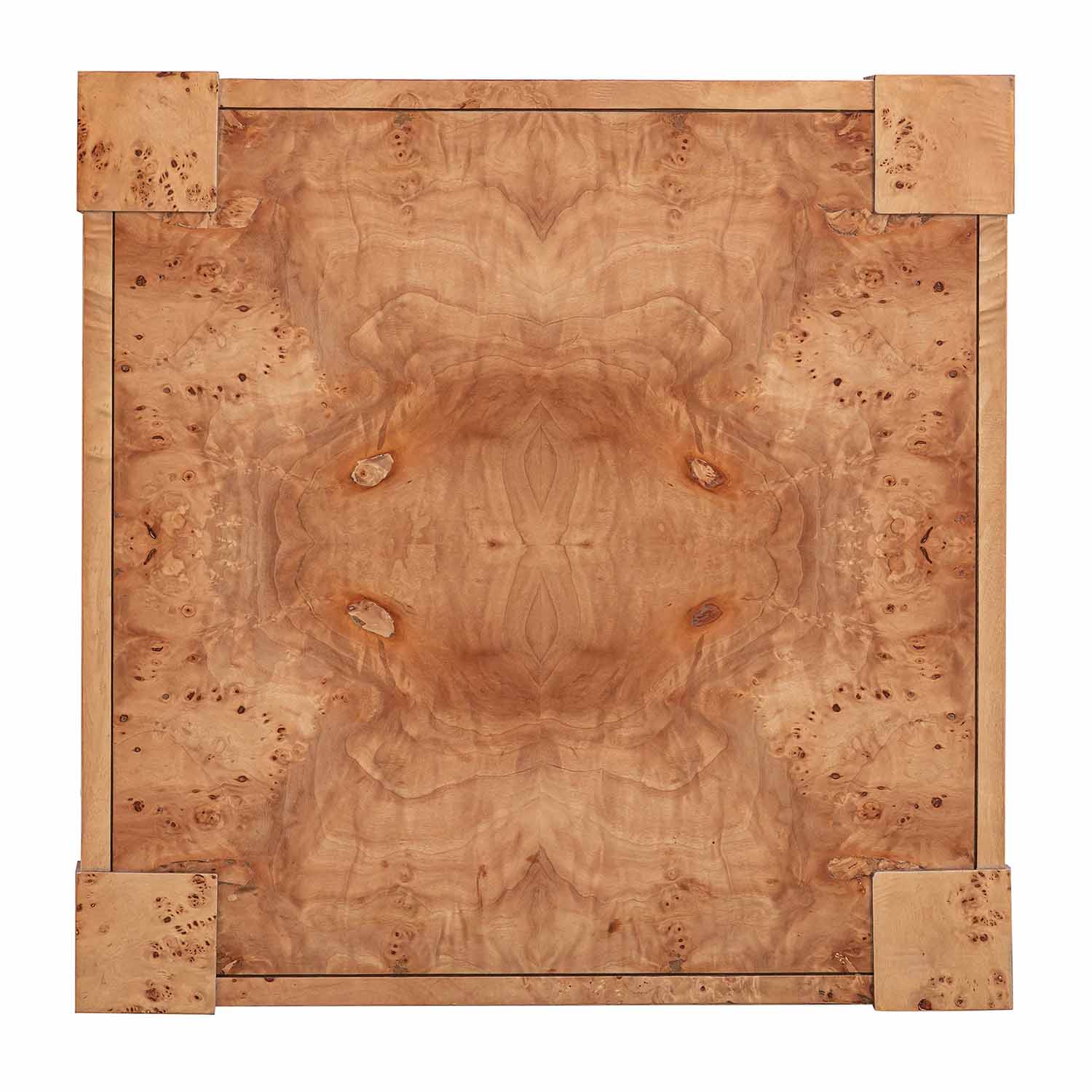 TOV Furniture Brandyss Burl End Table