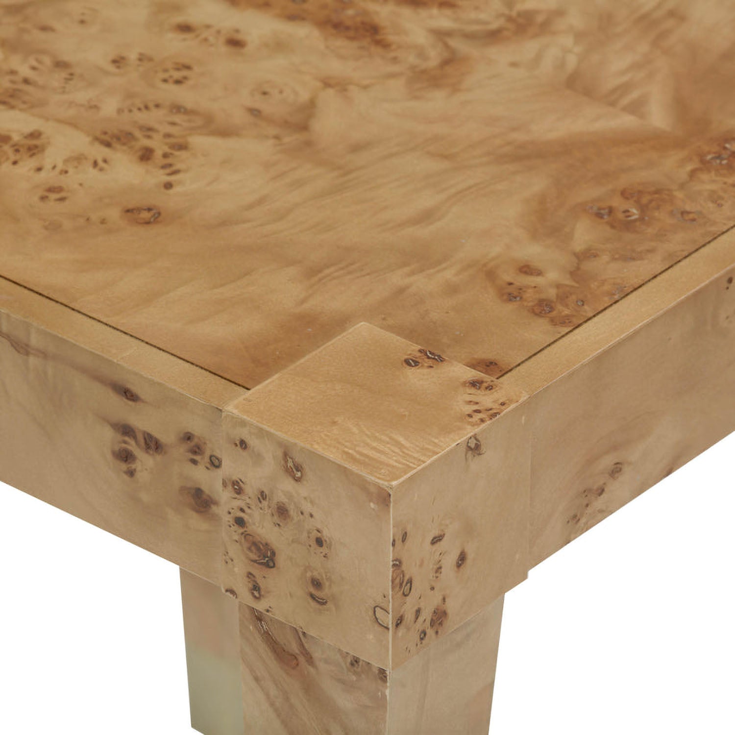 TOV Furniture Brandyss Honey Burl End Table