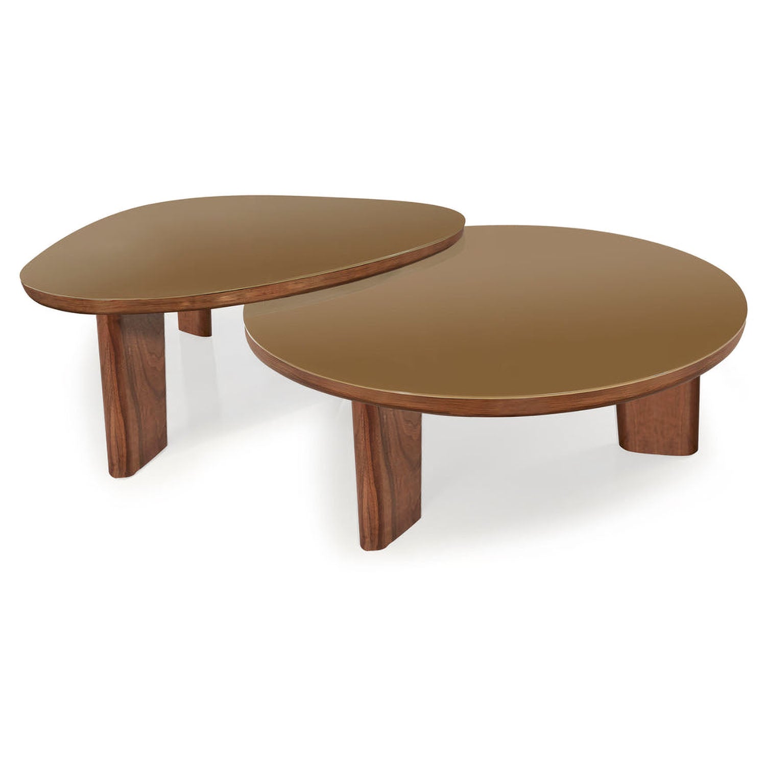 TOV Furniture Oani Walnut and Glass Triangular Coffee Table