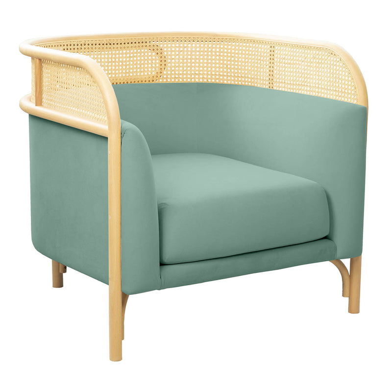 TOV Furniture Desiree Velvet Accent Chair