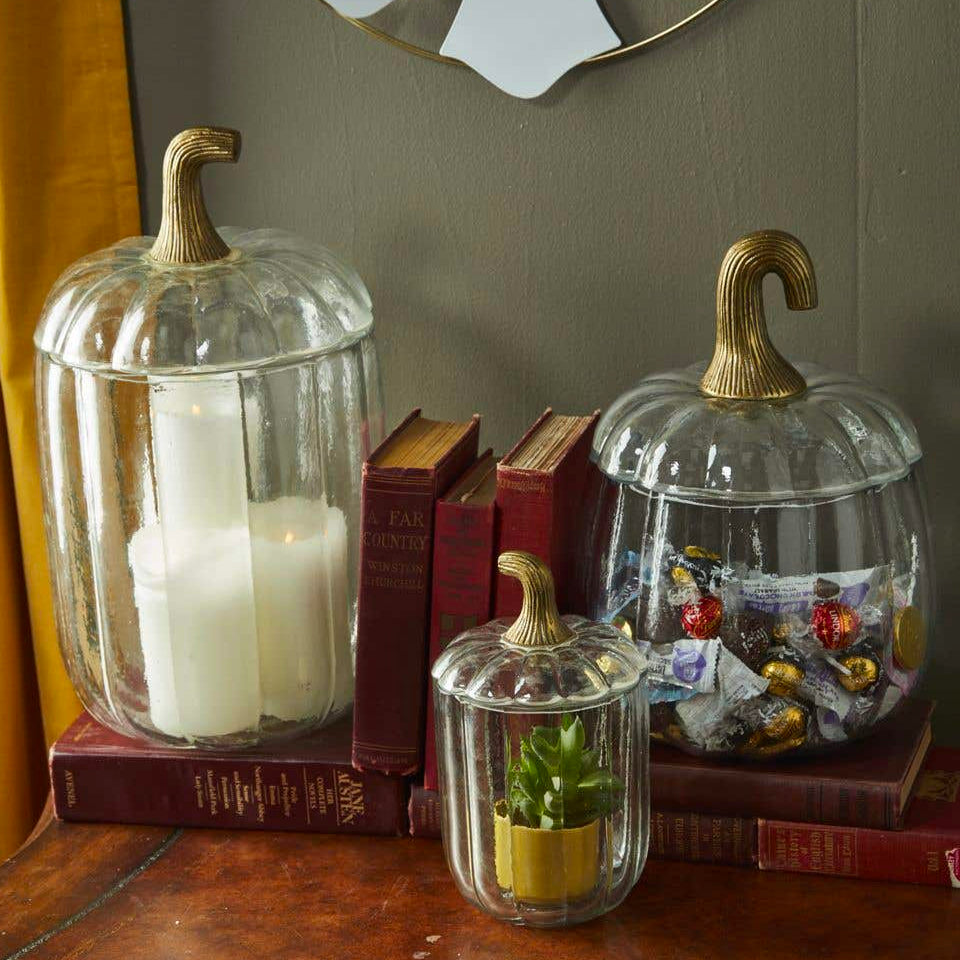Translucent Pumpkin Terrarium – Clear | Paynes Gray