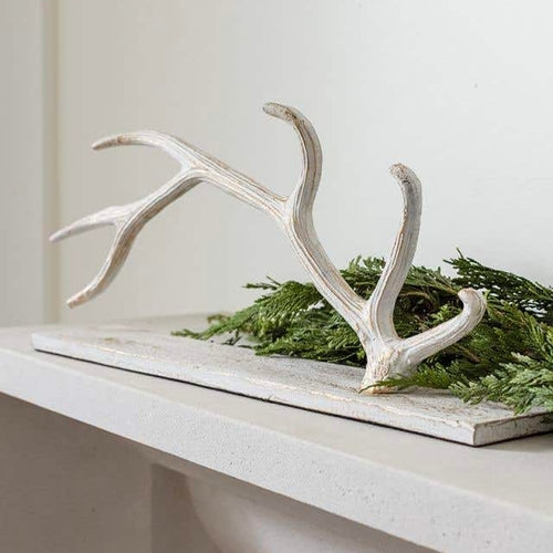 Rowell Antler Tabletop Accent