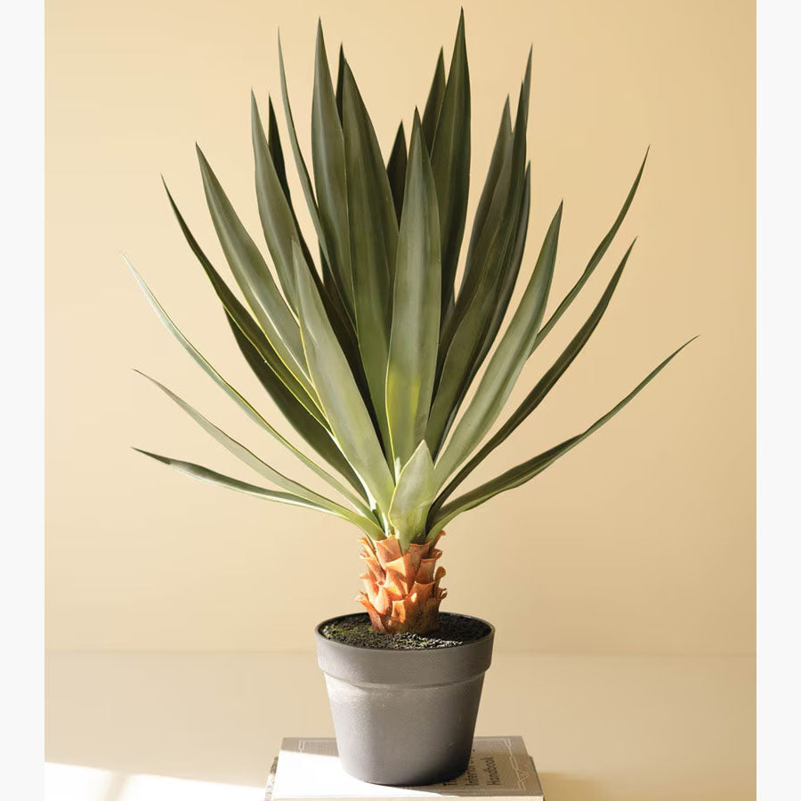 Sisal Potted Faux Plant