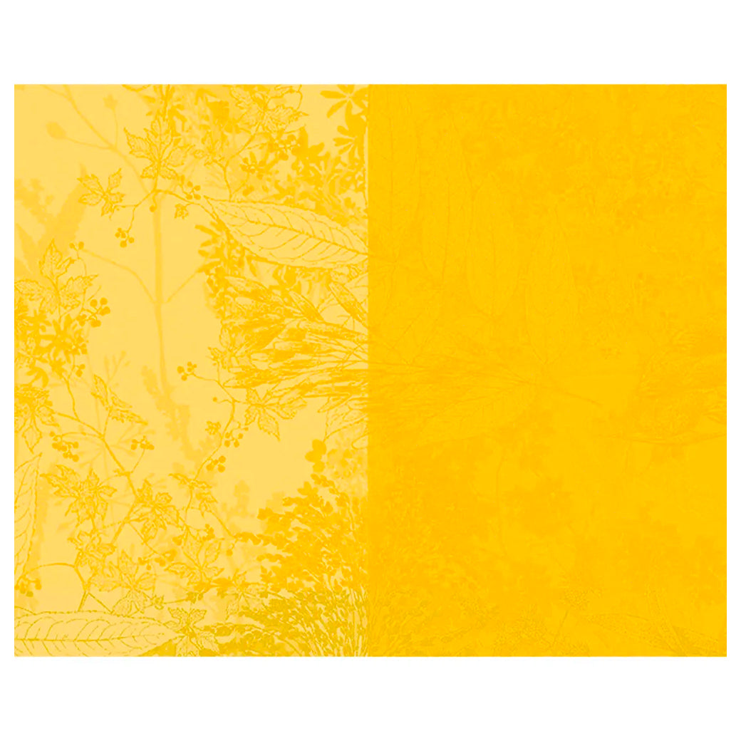 Garnier Thiebaut Mille Esprit Jardin Solaire Placemat Set of 4