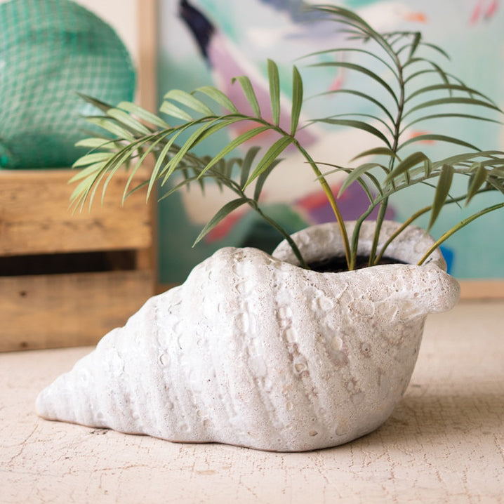 Terracotta Conch Shell White Glaze Planter