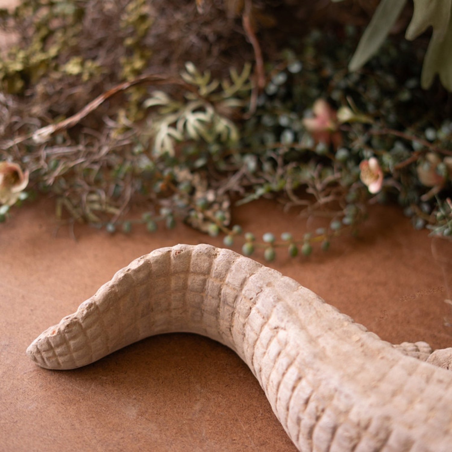 Natural Terracotta Alligator