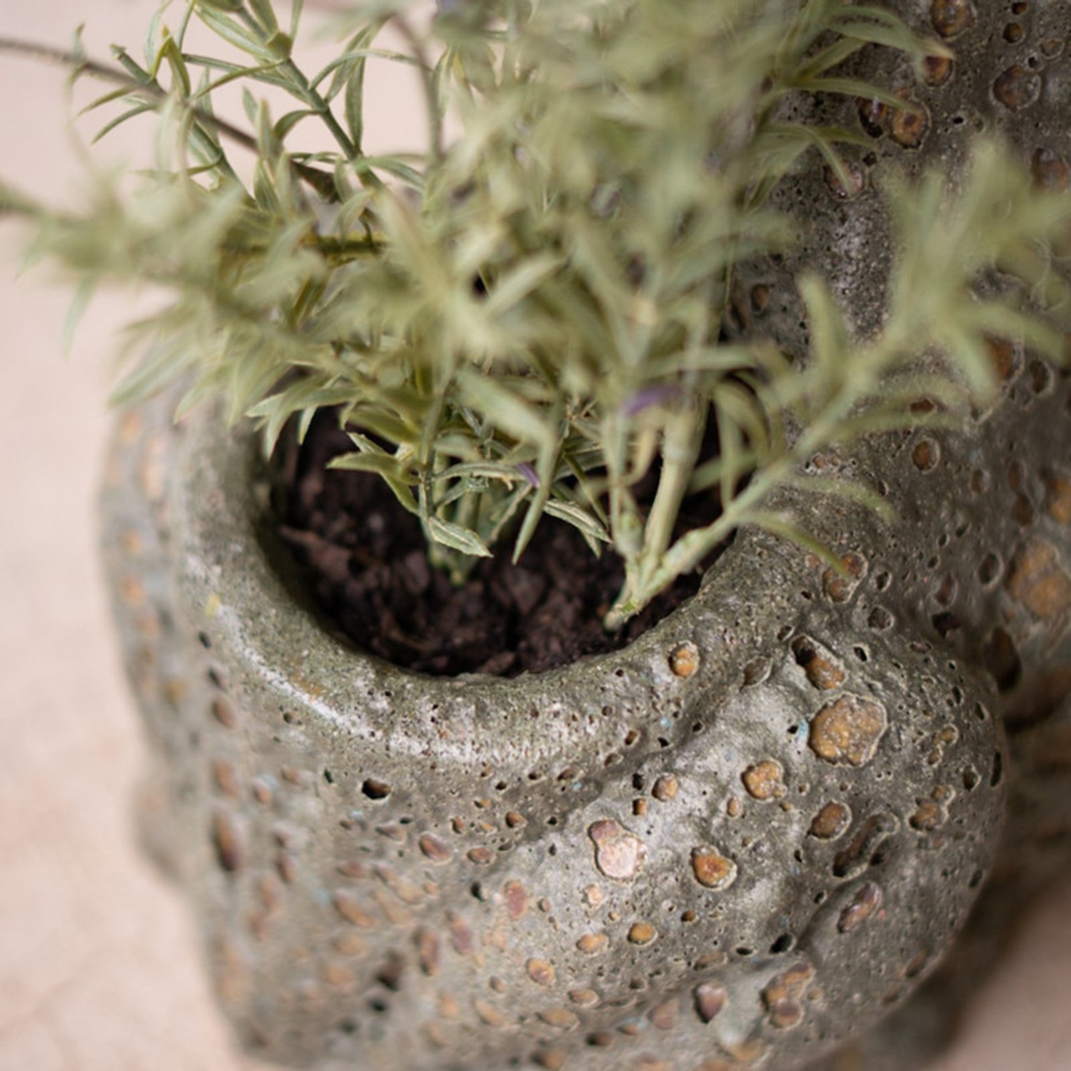 Terracotta Frog Planter with Rustic Glaze