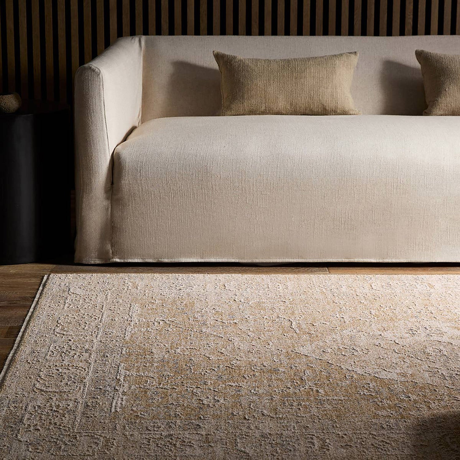 Jaipur Living Vekhea Aslan Power Loomed Rug