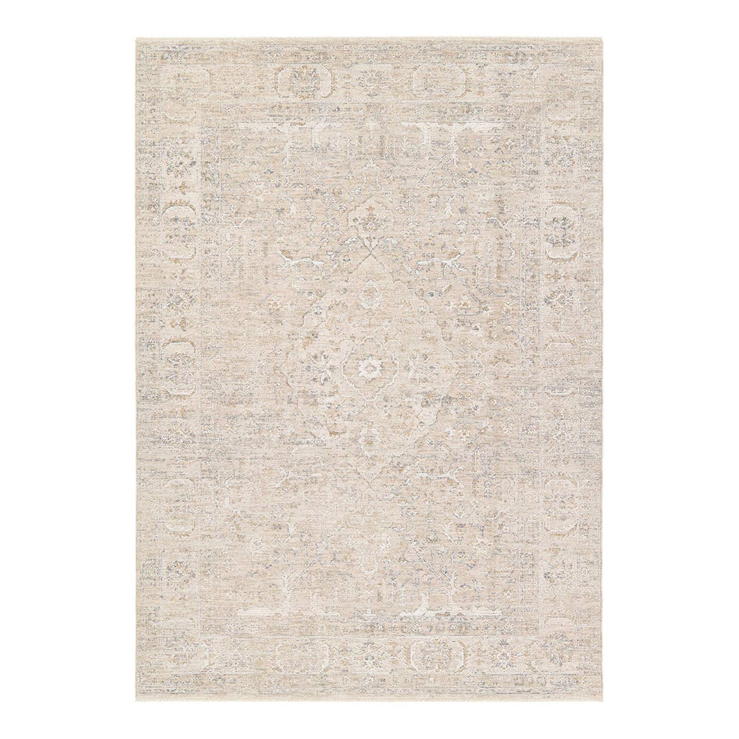 Jaipur Living Vekhea Aslan Gray Power Loomed Rug