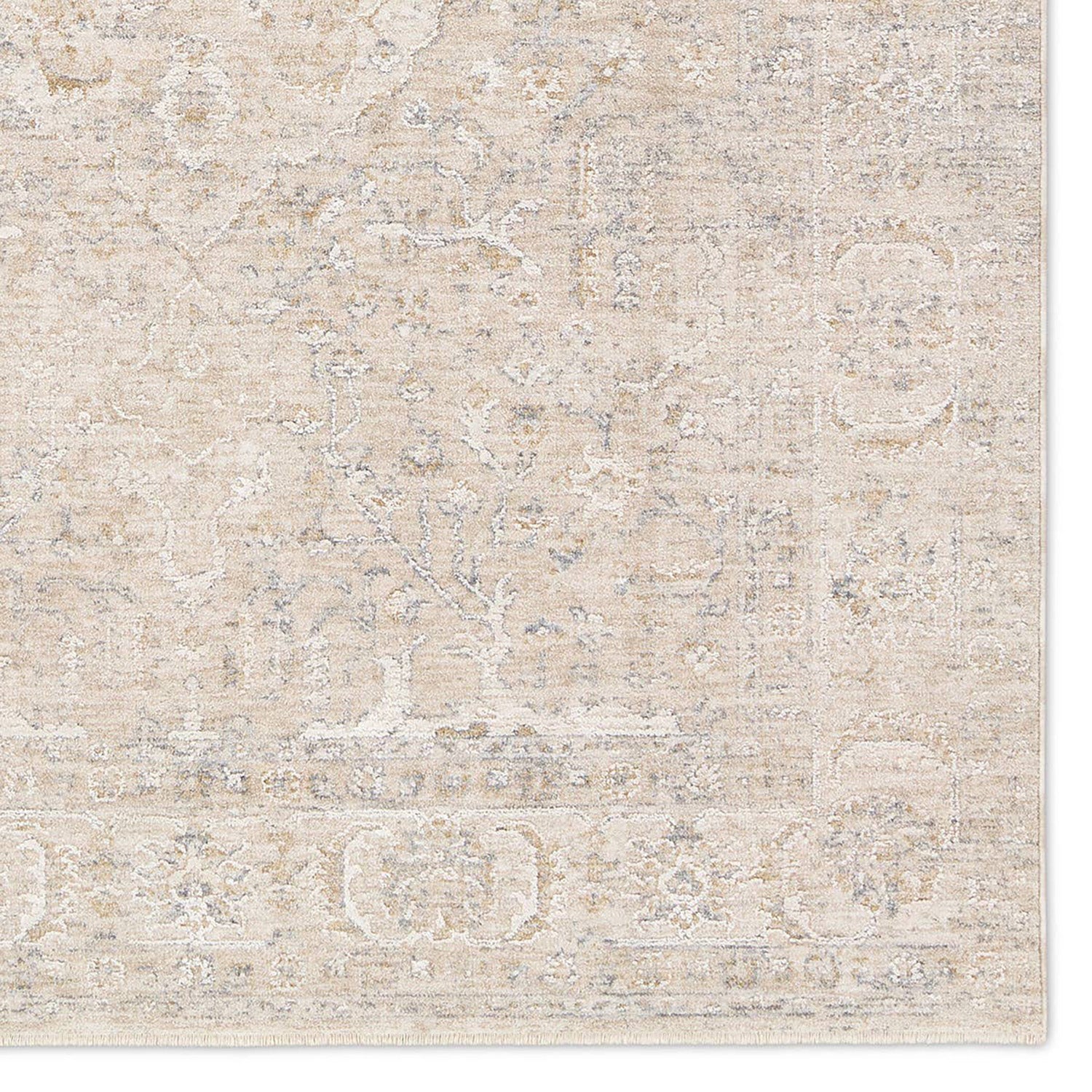 Jaipur Living Vekhea Aslan Gray Power Loomed Rug