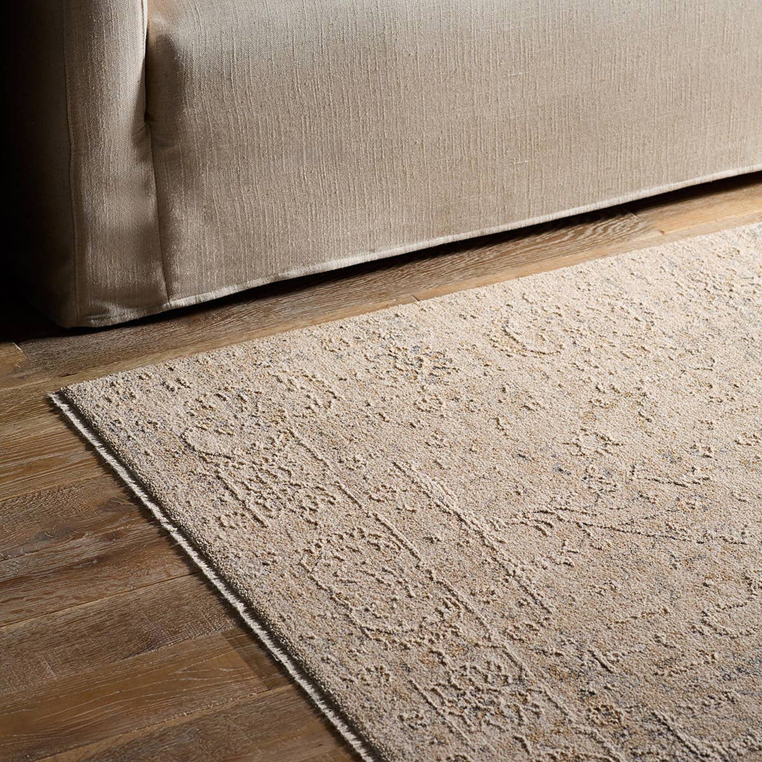 Jaipur Living Vekhea Aslan Gray Power Loomed Rug