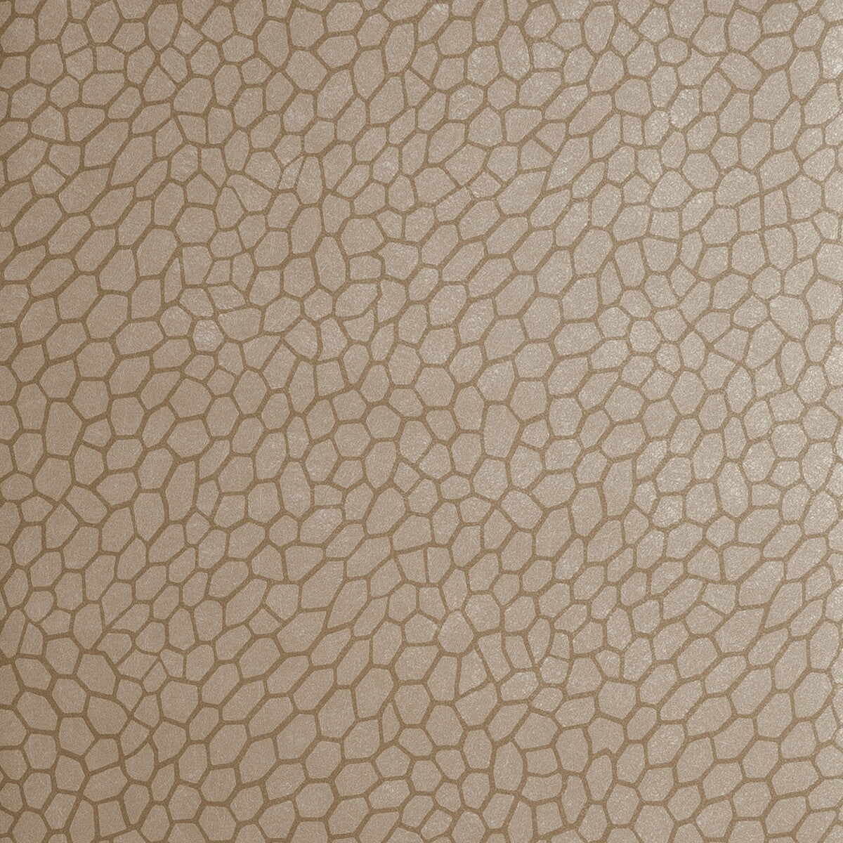 Clarke And Clarke Playa Antique Wallpaper