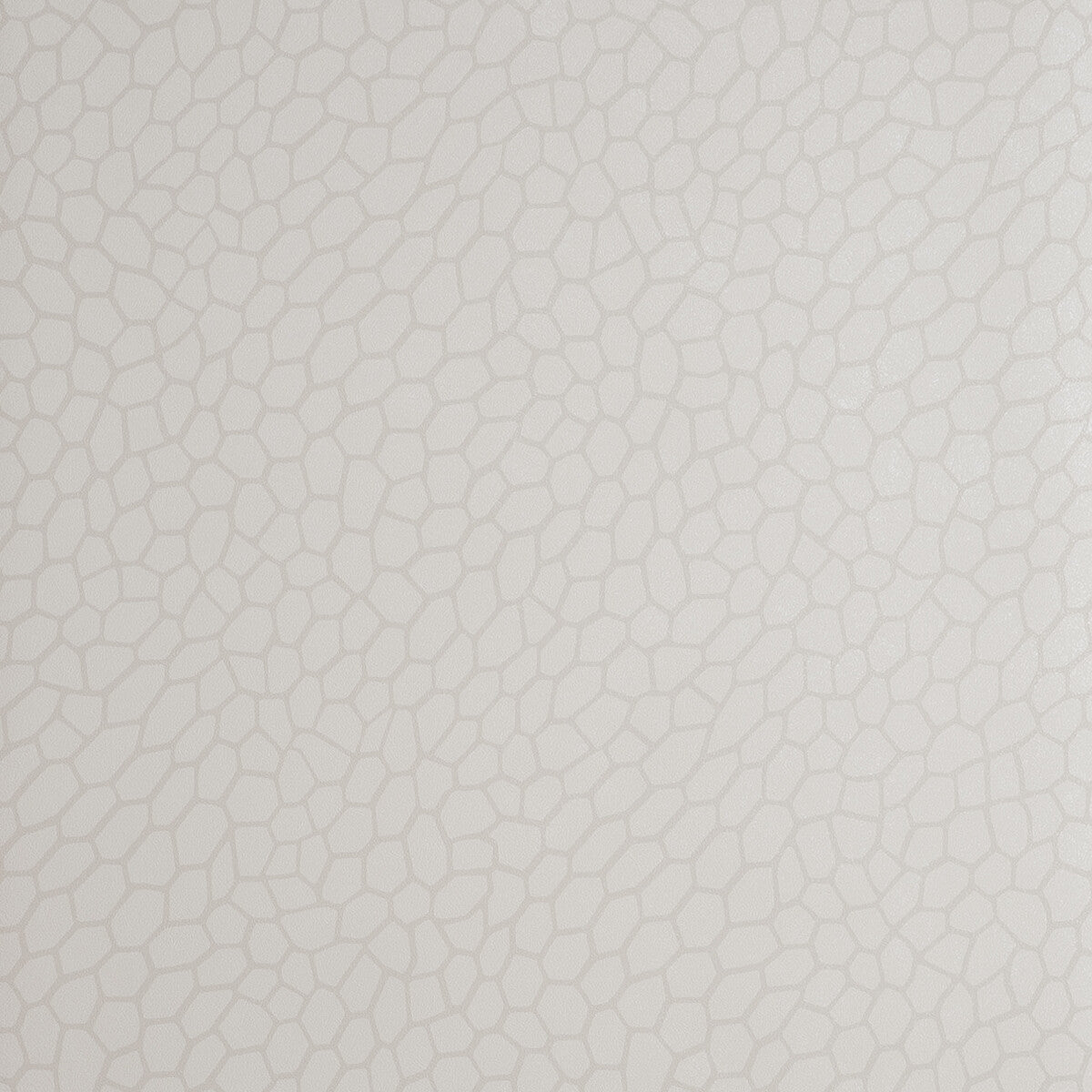 Clarke And Clarke Playa Parchment Wallpaper