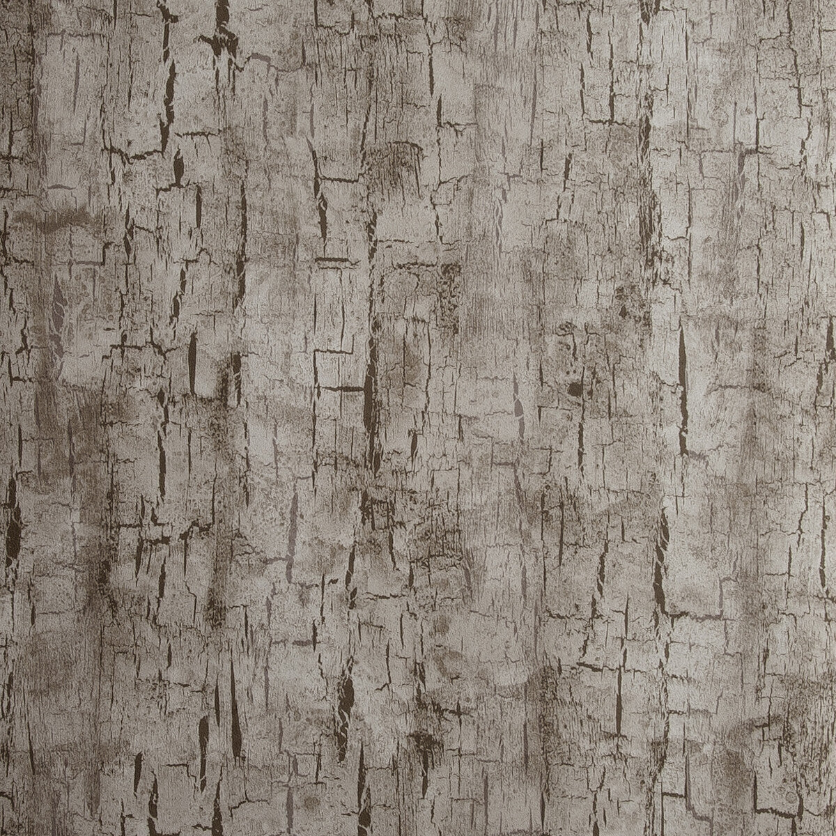 Clarke And Clarke Tree Bark Pewter Wallpaper