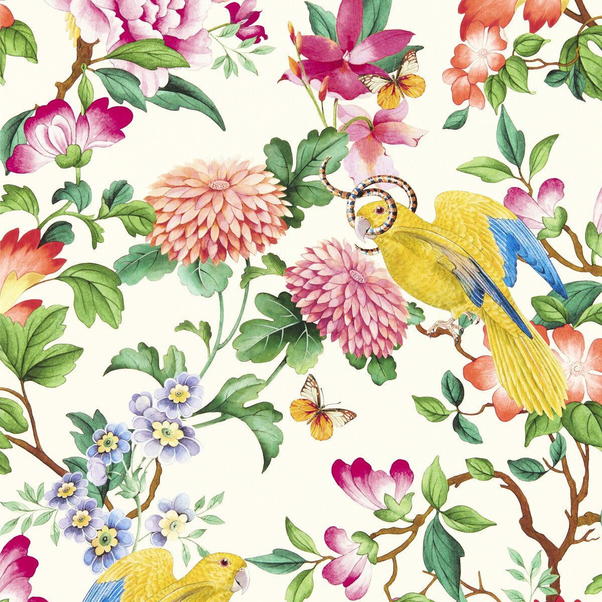 Clarke And Clarke Golden Parrot Wp Ivory Wallpaper
