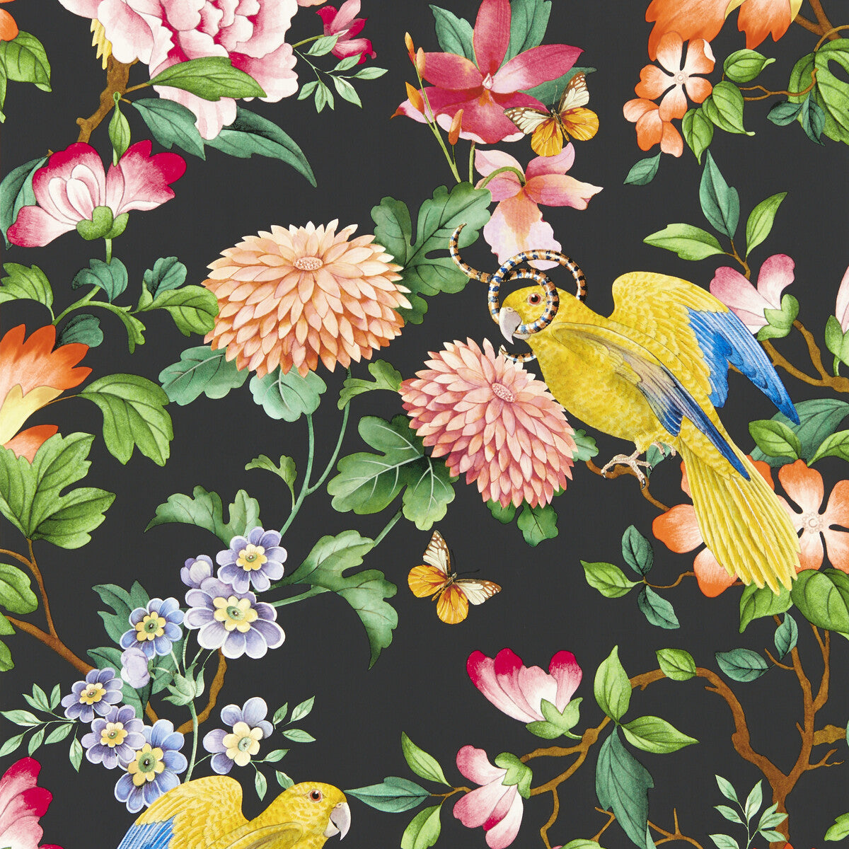 Clarke And Clarke Golden Parrot Wp Noir Wallpaper