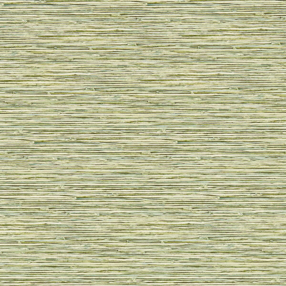 Clarke And Clarke Xan Palm Wp Wallpaper