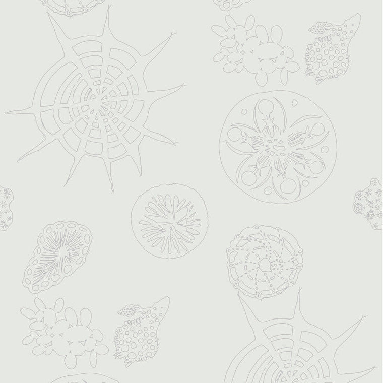 Kravet Couture Telescopic P Mercury Wallpaper