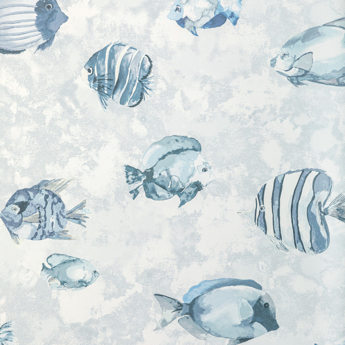 Kravet Design Great Reef Wp Crystal Wallpaper