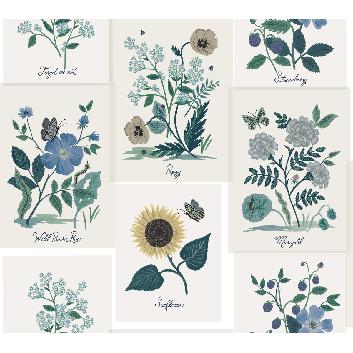 Rifle Paper Co Second Edition x Kravet Design W3947-350 Wallpaper