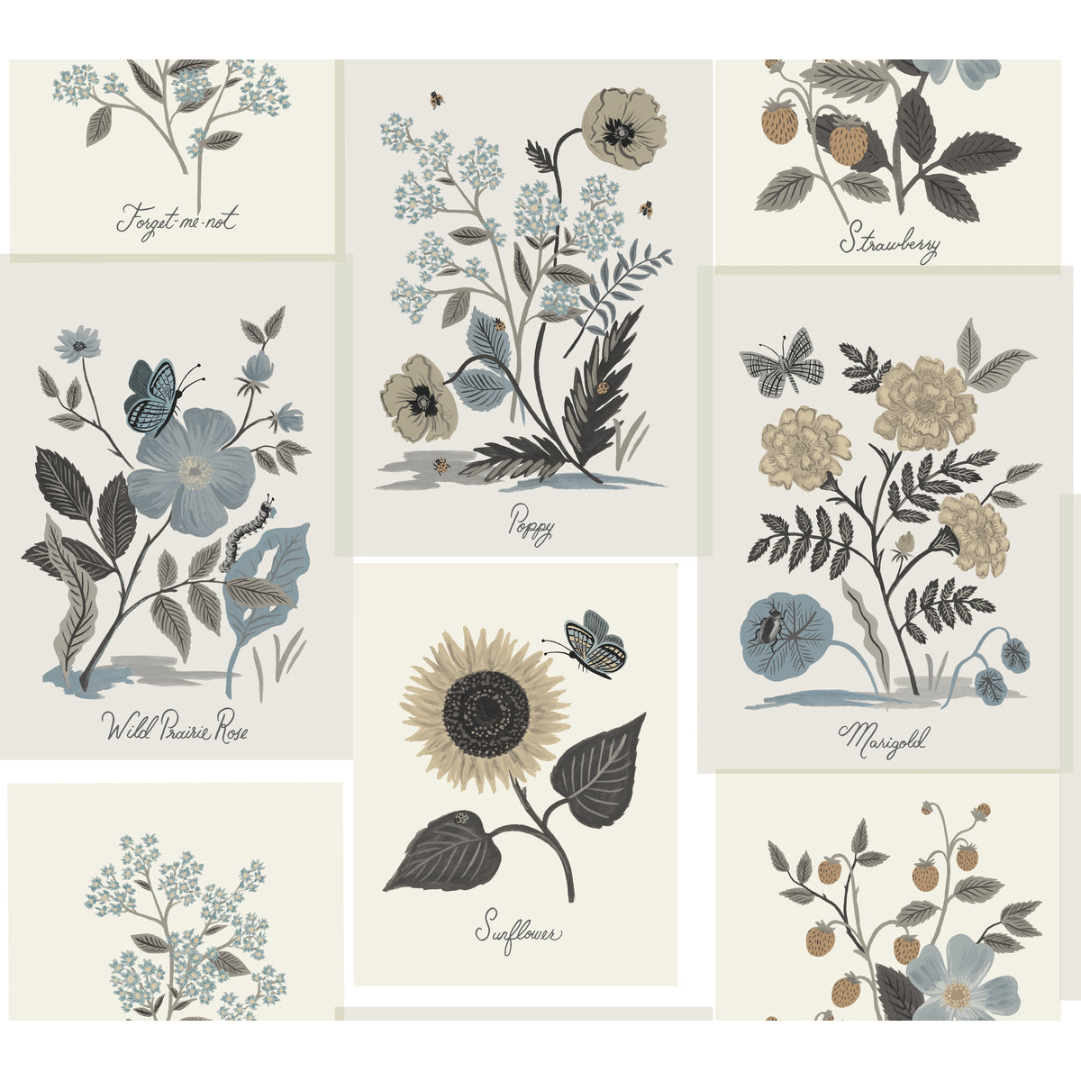 Rifle Paper Co Second Edition x Kravet Design W3947-6106 Wallpaper