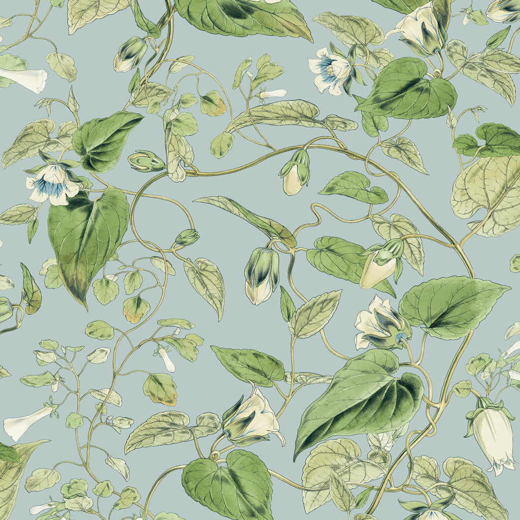 Blooms Second Edition Resource Library x Kravet Design W4132-153 Wallpaper