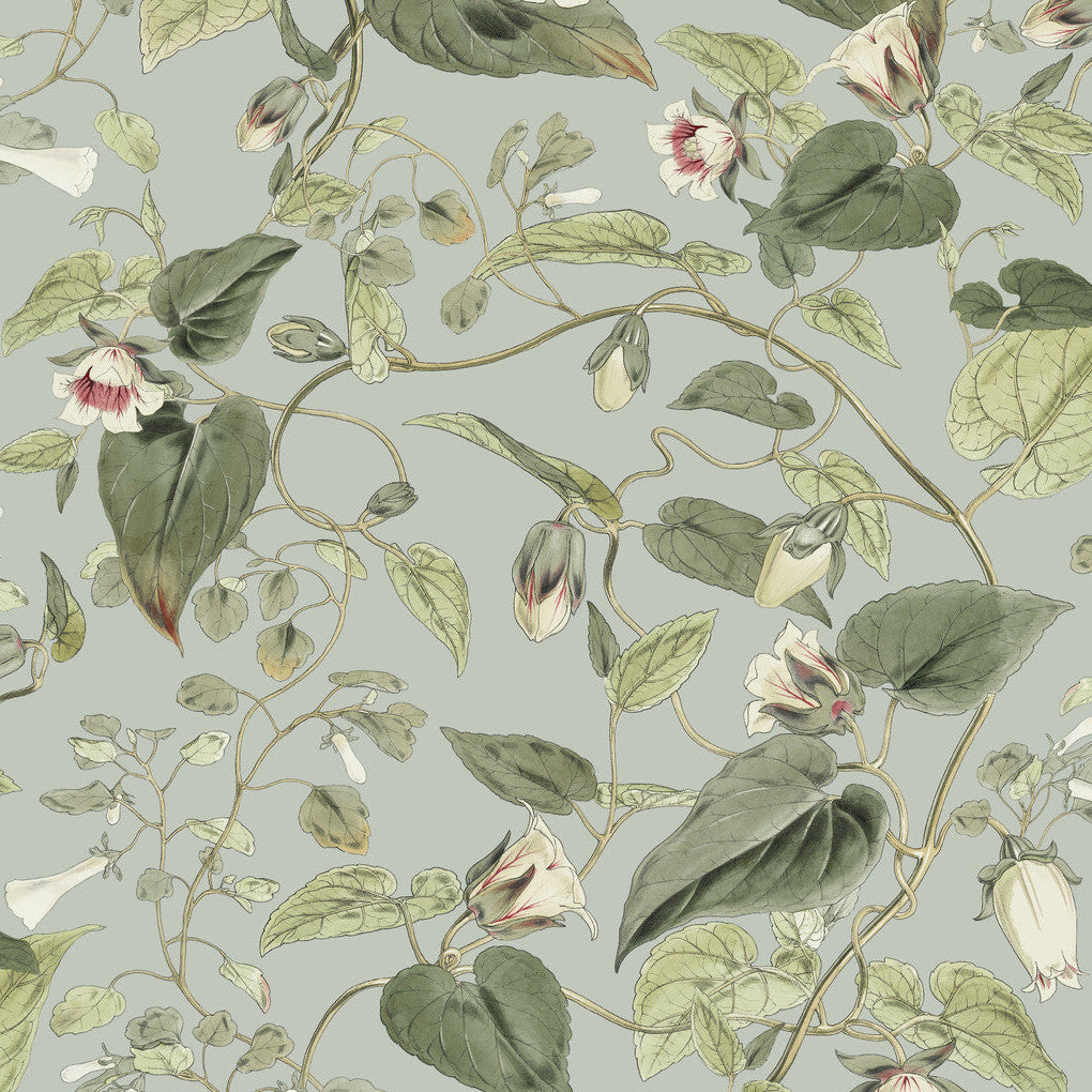 Blooms Second Edition Resource Library x Kravet Design W4132-311 Wallpaper