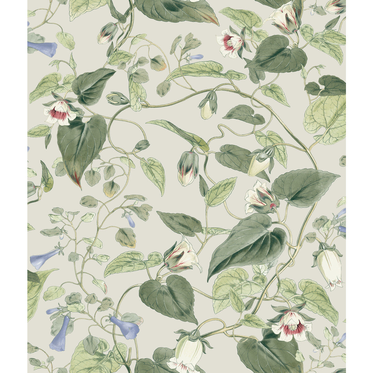 Blooms Second Edition Resource Library x Kravet Design W4132-315 Wallpaper