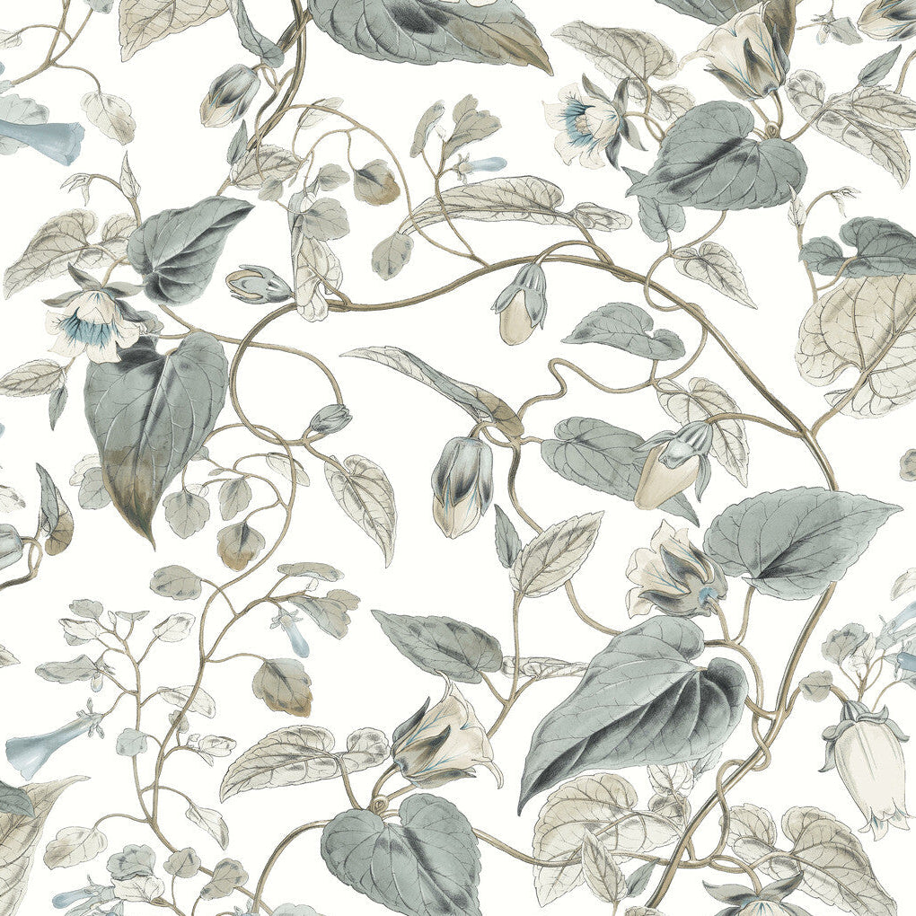 Blooms Second Edition Resource Library x Kravet Design W4132-511 Wallpaper