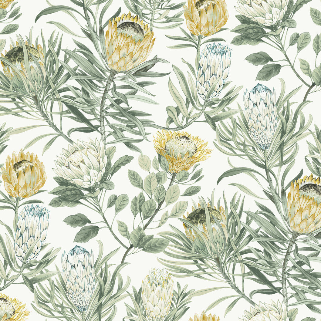 Blooms Second Edition Resource Library x Kravet Design W4136-4 Wallpaper
