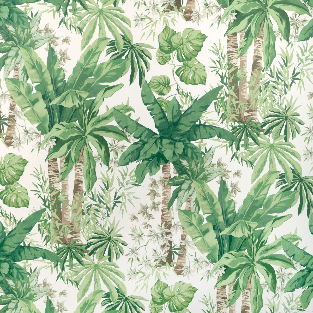 Kravet Couture Junglewood Wp Verde Wallpaper