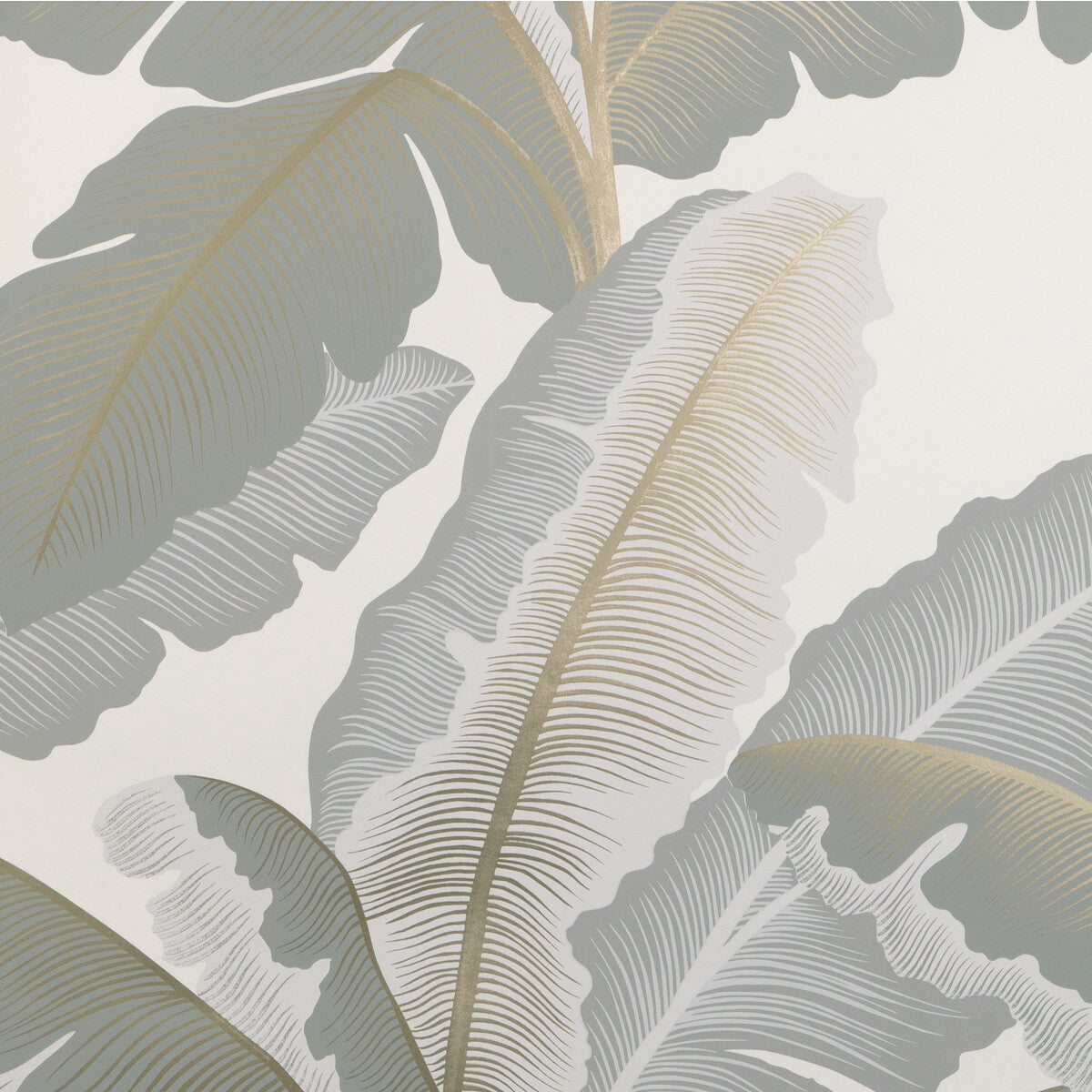 Kravet Couture Isla Royal Wp Mist Wallpaper