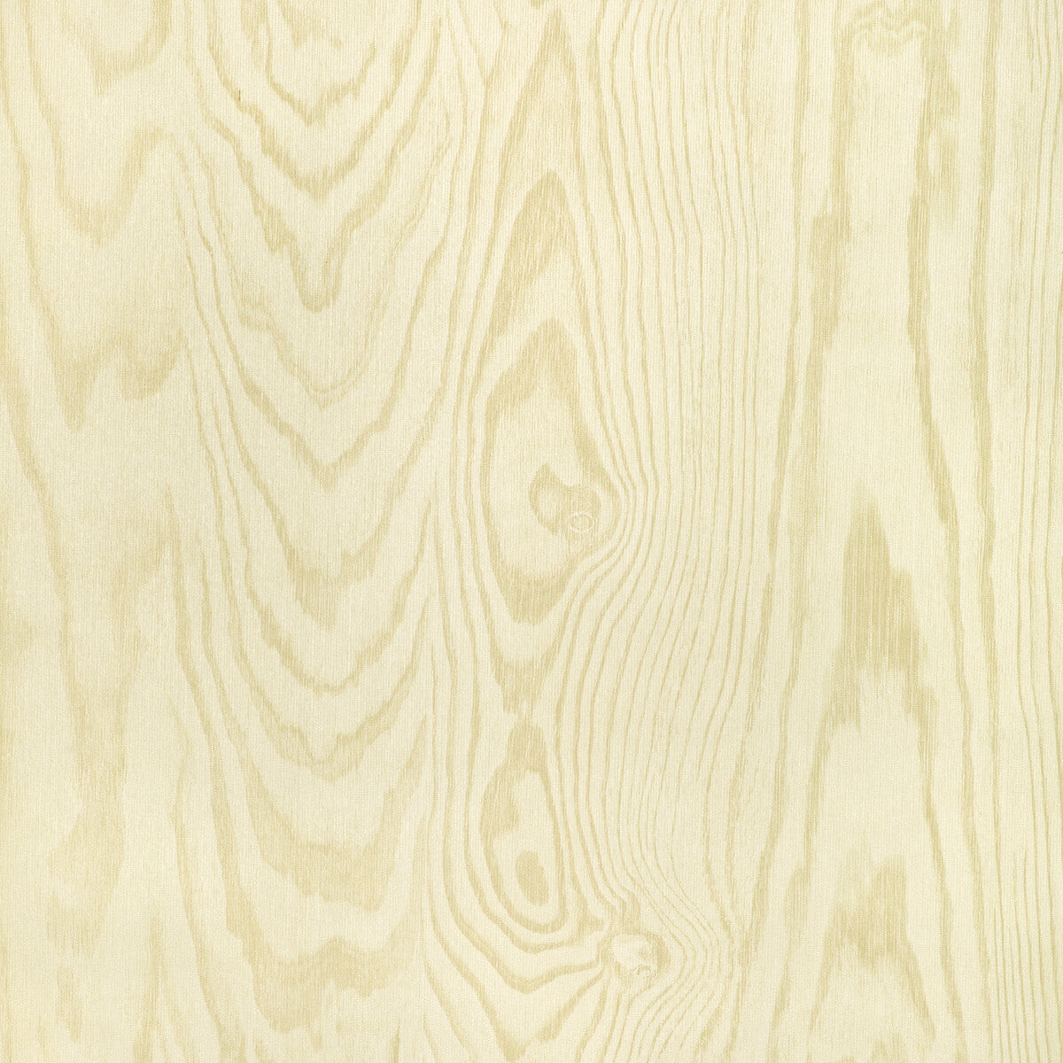 Studio Collection x Kravet Design W4168-16 Wallpaper