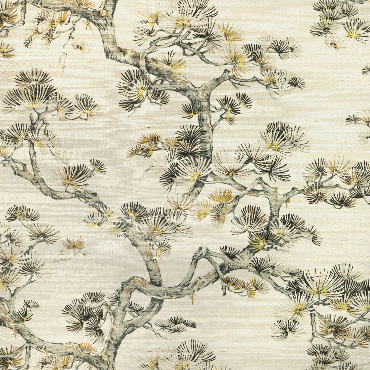 Studio Collection x Kravet Design W4191-411 Wallpaper