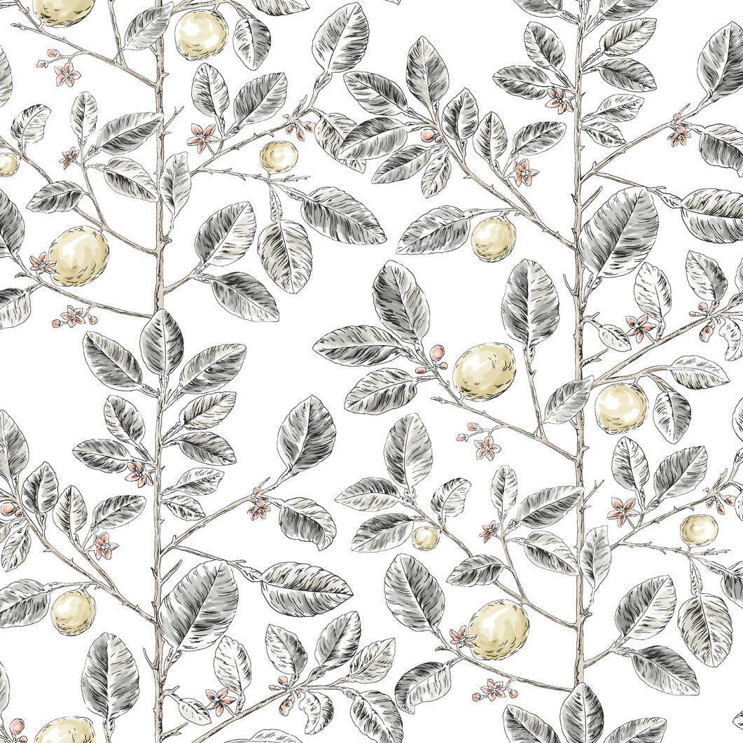 Toiles Resource Library x Kravet Design W4241-21 Wallpaper