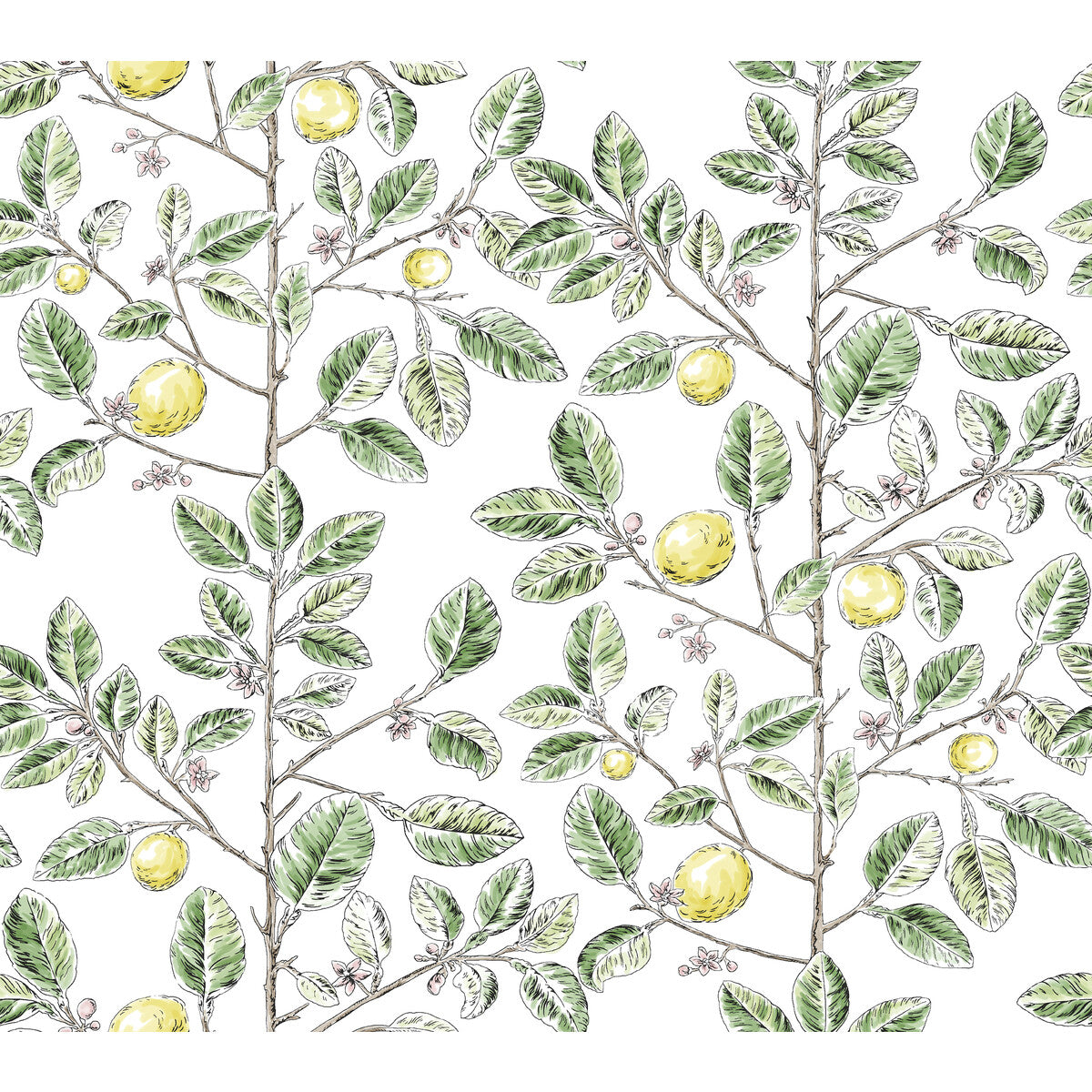 Toiles Resource Library x Kravet Design W4241-340 Wallpaper