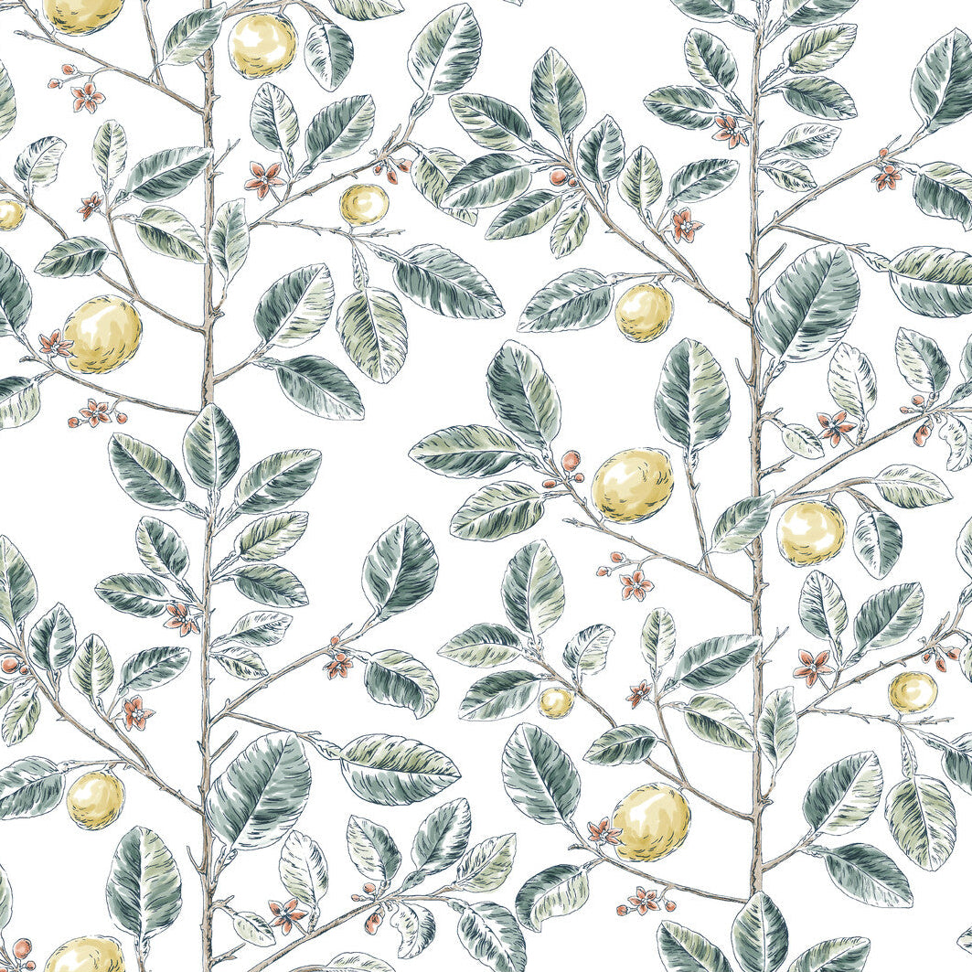 Toiles Resource Library x Kravet Design W4241-354 Wallpaper