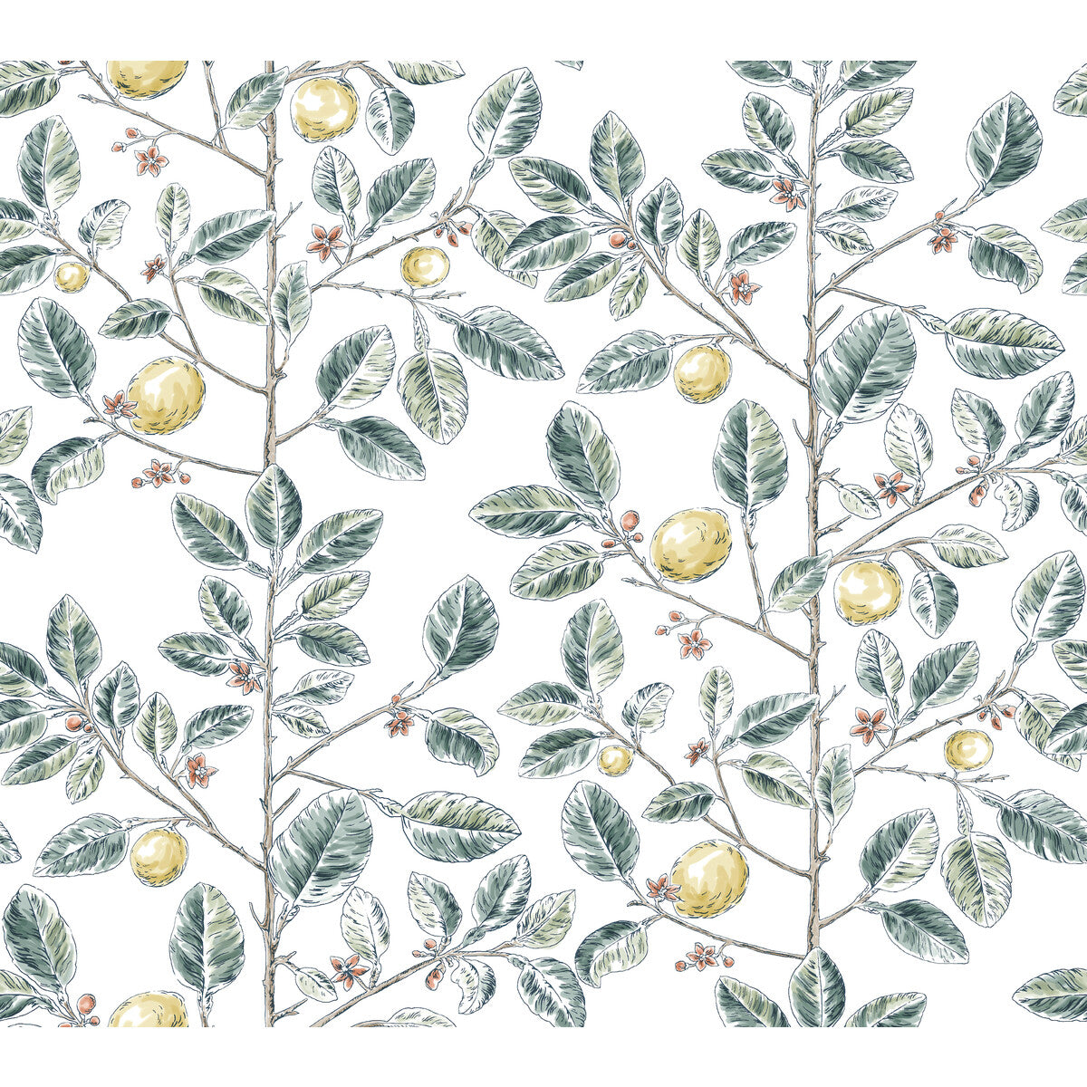 Toiles Resource Library x Kravet Design W4241-354 Wallpaper