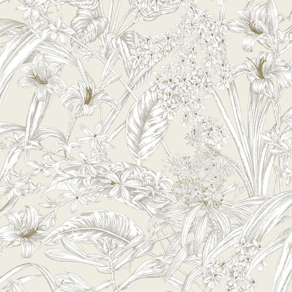 Toiles Resource Library x Kravet Design W4248-1 Wallpaper