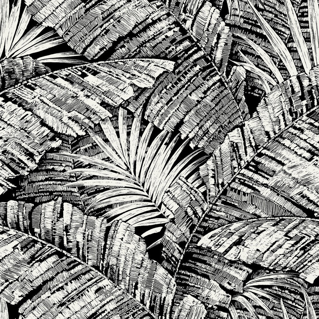 Toiles Resource Library x Kravet Design W4249-81 Wallpaper