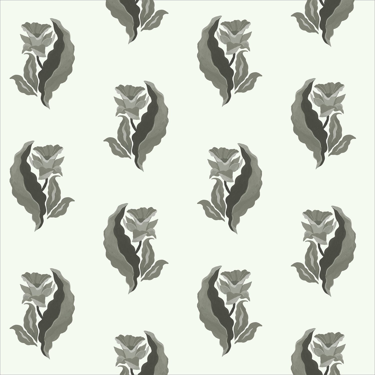 Mitchell Black Morning Glory Wallpaper