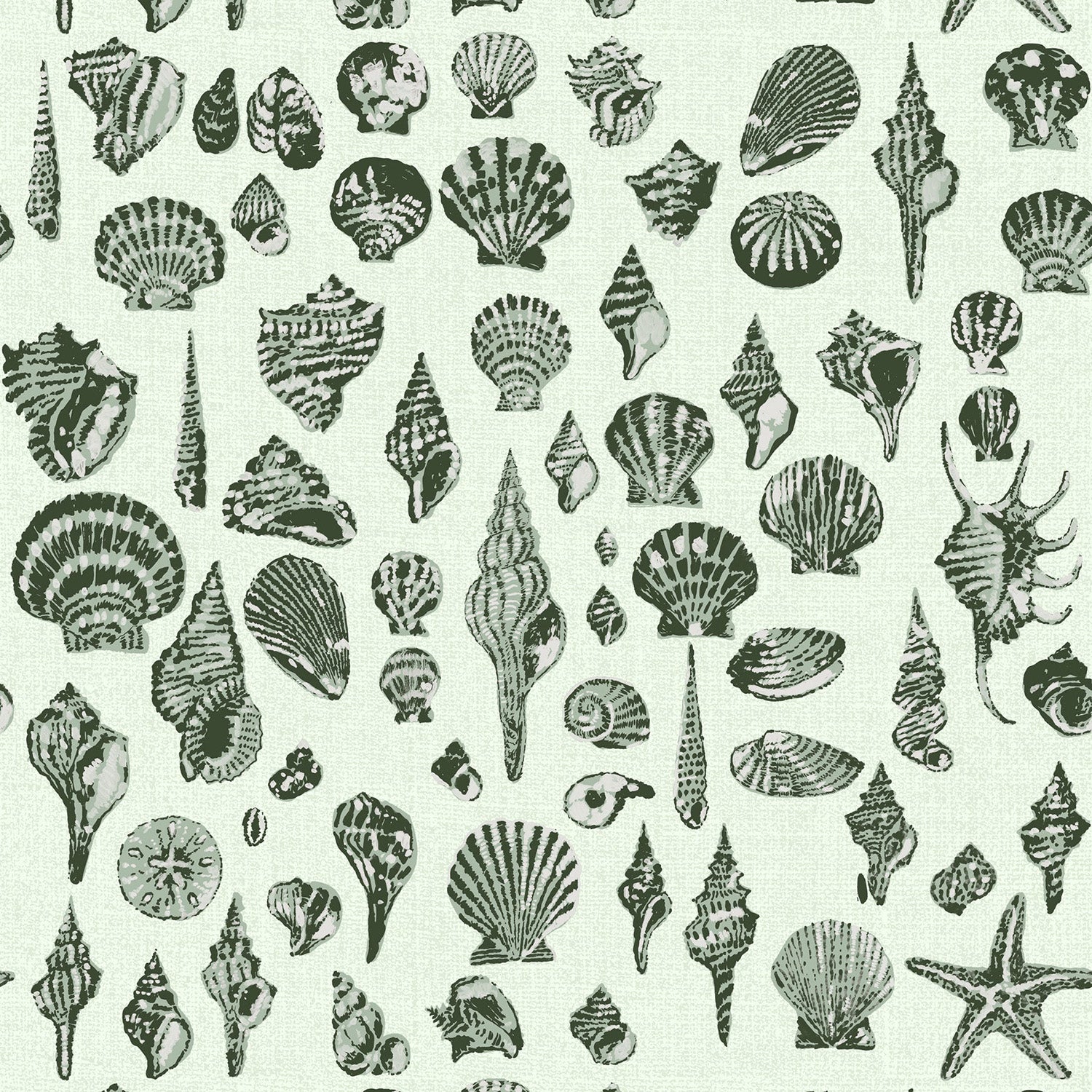 Mitchell Black x Megan Molten Lowcountry Love Shells Wallpaper