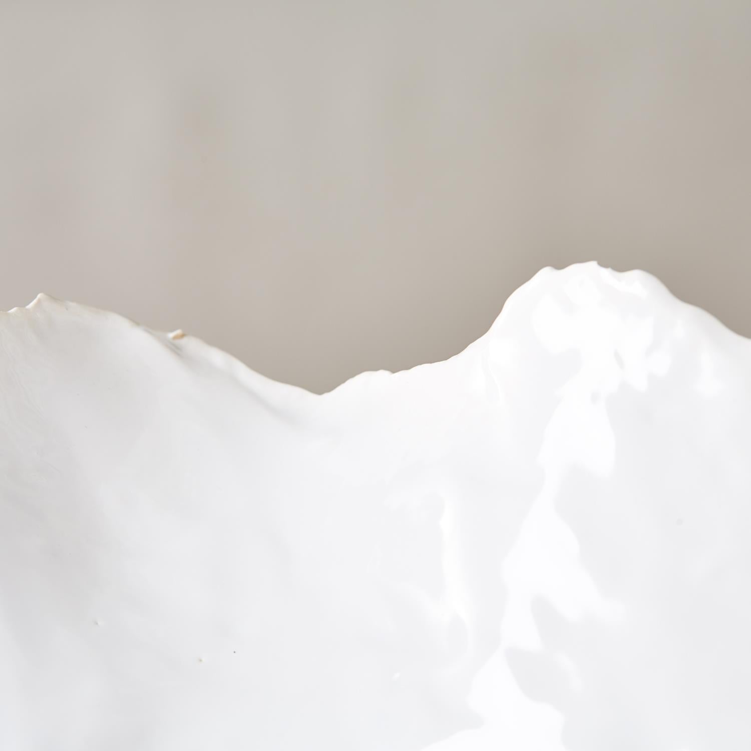 White Freeform Ceramic Bowl Set of 2