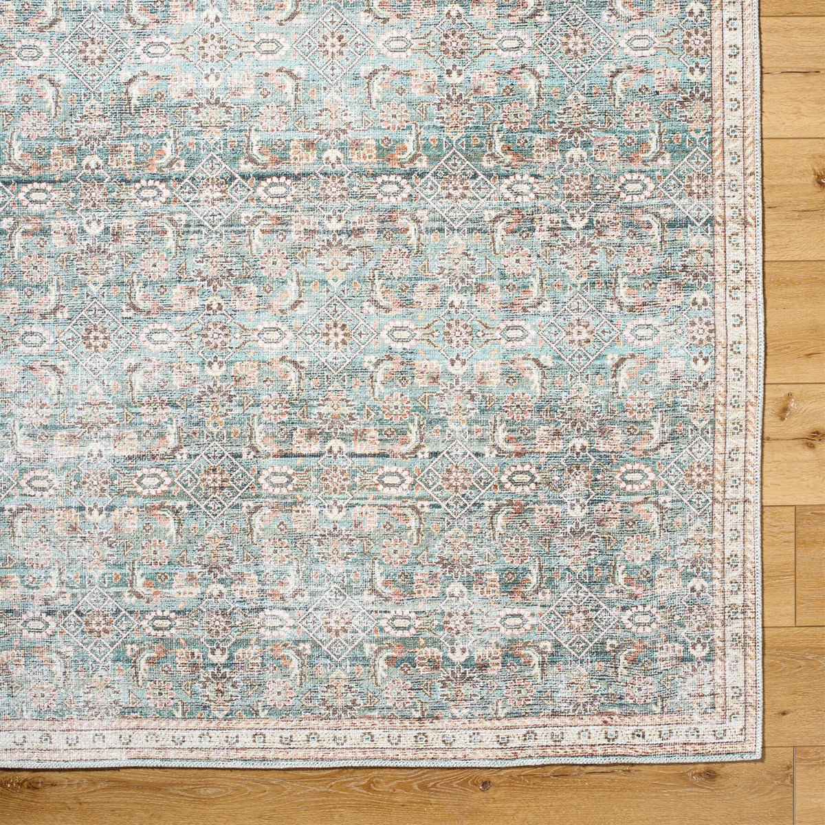 Livabliss Amelie AML-2403 Machine Woven Rug