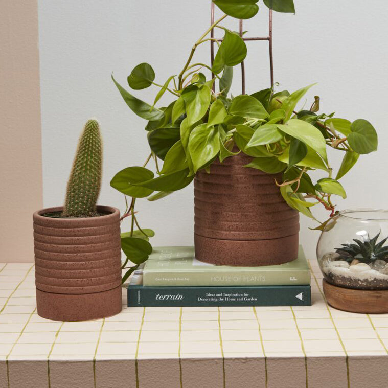 Bardo Pot with Saucer