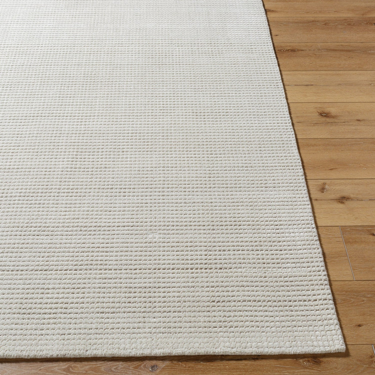 Surya Boston BBT-2306 Hand Loomed Rug