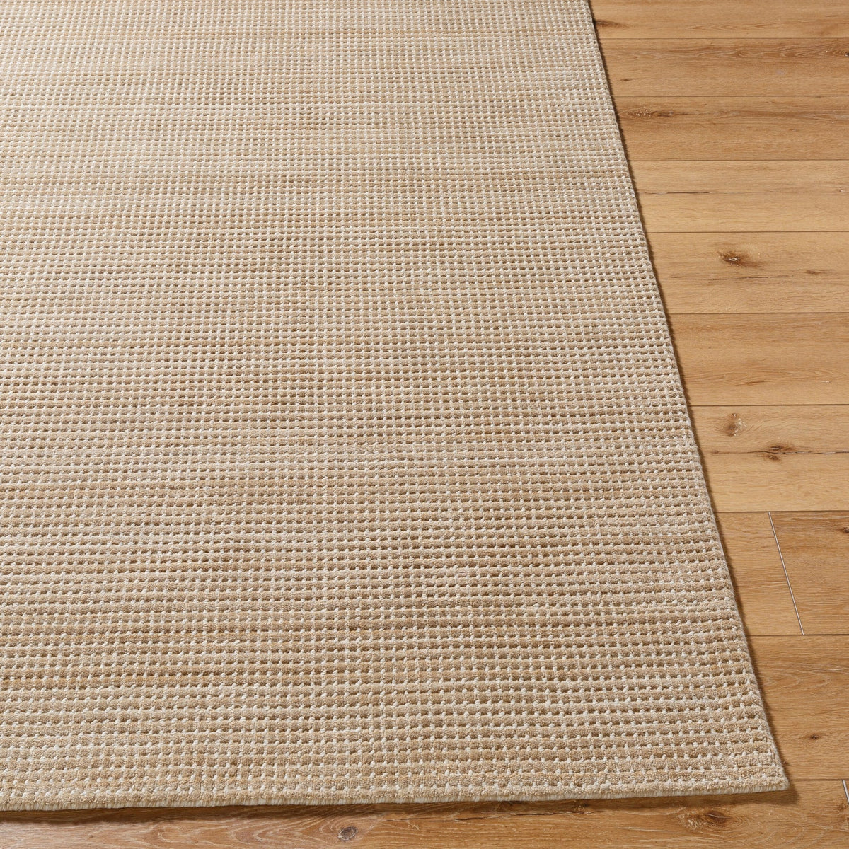 Surya Boston BBT-2307 Hand Loomed Rug