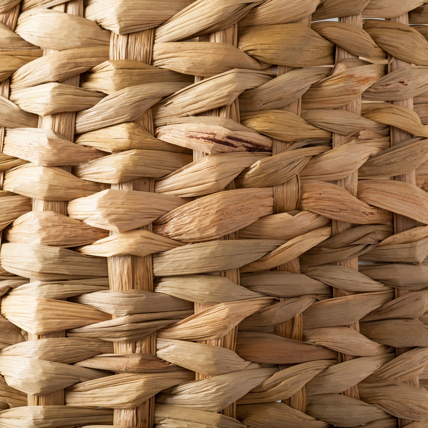 Carson Accent Table Lamp