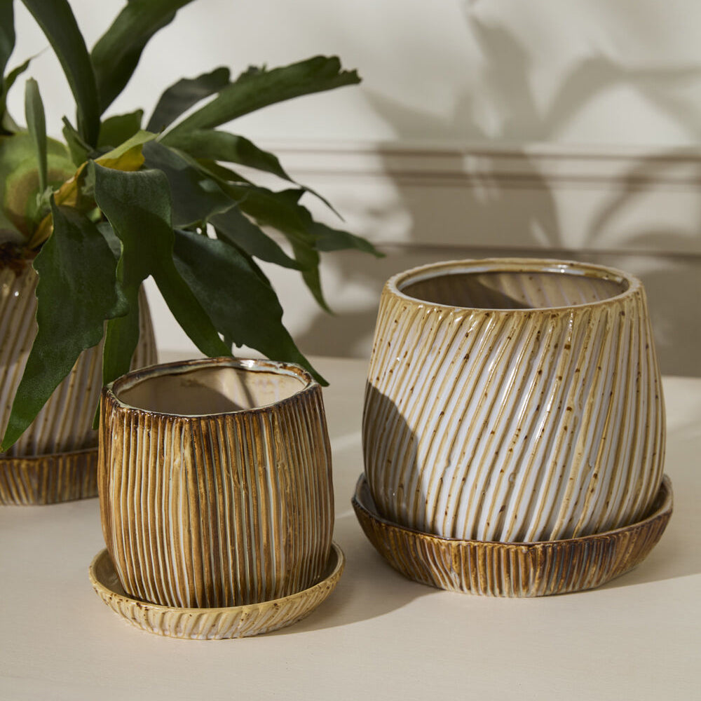 Carved Pot with Saucer